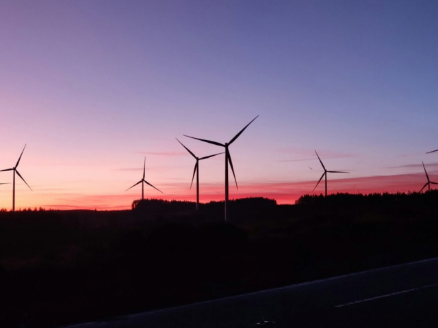 wind turbines during golden hour